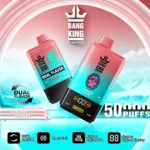 dh-vape-eu-warehouse-bang-king-50000-50k-puffs-blueberry-ice-peach-ice.