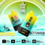 dh-vape-eu-warehouse-bang-king-50000-50k-puffs-blueberry-ice-peach-mango-watermelon