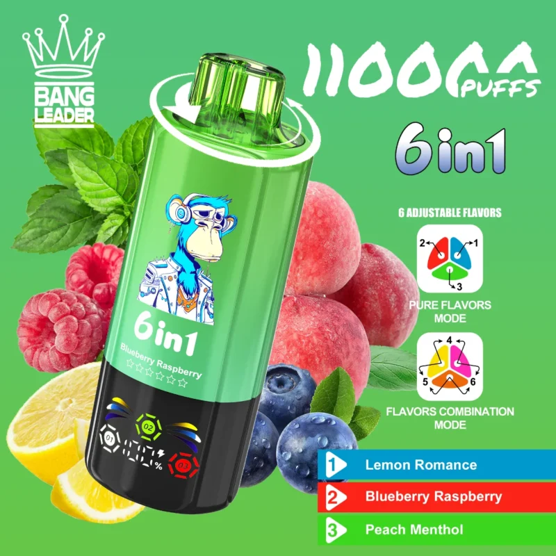 dh-vape-eu-warehouse-bang-leader-110k-lemon-romance-&-blueberry-raspberry-&-peach-menthol