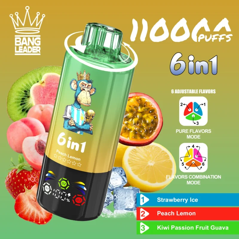 dh-vape-eu-warehouse-bang-leader-110k-strawberry-ice-&-peach-lemon-&-kiwi-passion-fruit-guava