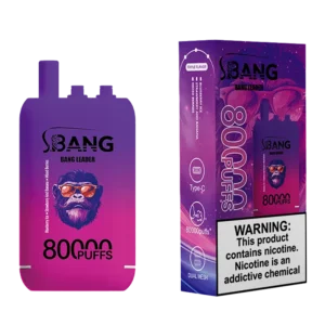 dh-vape-eu-warehouse-bang-leader-80000-puffs-disposable-vape
