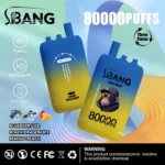 dh-vape-eu-warehouse-bang-leader-80k-puff-blueberry-ice-black-dragon-ice-mango-peach