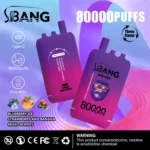 dh-vape-eu-warehouse-bang-leader-80k-puff-blueberry-ice-strawberry-banana-mixed-berries