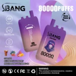 dh-vape-eu-warehouse-bang-leader-80k-puff-cola-glace-framboise-pêche-mangue-melon d'eau