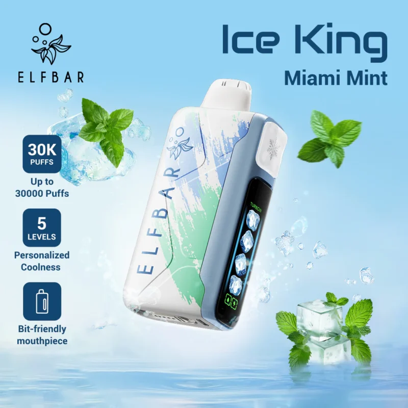 dh-vape-eu-warehouse-elfbar-ice-king-30000-puffar-miami-mint