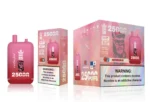 dh-vape-eu-warehouse-puff-25k-bang-king-25000-puffs-watermelon-ice