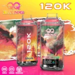 dh-vape-eu-warehouse-qq-bang-120k-120000-puffs-cherry-watermelon-freeze-