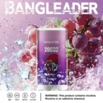 Dh Vape Puff 20k Disposable variant