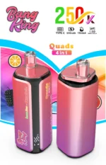 dh-vape-bang-king-250k-bouffées-250000-entrepôt-eu-lemonline-pastèque