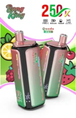 dh-vape-bang-king-250k-bouffées-250000-entrepôt-ue-mélange-baies-cerise-citron