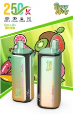 dh-vape-bang-king-250k-bouffées-250000-entrepôt-eu-limonade-rose-kiwi-fruit de la passion-goyave