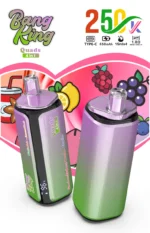 dh-vape-bang-king-250k-bouffées-250000-entrepôt-ue-fraise-raisin-glace