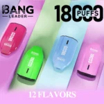 dh-vape-eu-warehouse-bang-leader-18k-random-flavors