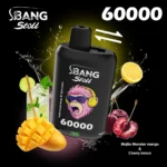 dh-vape-eu-warehouse-bang-leader-60k-puff-mojito-monster-mango-cherry-lemon