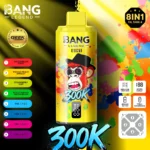 dh-vape-eu-lager-bang-legend-300k-puff-Wassermelone-Beere-Mango-Pfirsich-Aprikose-Erdbeere-Kiwi-Pfirsich-Mango-Wassermelone