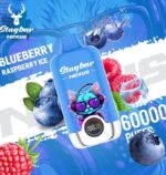 dh-vape-eu-warehouse-stagbar-nexus-60000-60k-puffs-blueberry-raspberry-ice