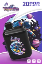 dh-vape-vaporsea-20k-puff-20000-eu-warehouse-grape-ice