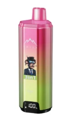 Grape Ice Strawberry Candy Disposable Vape
