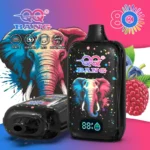 dh-vape-bang-qq-80k-puff-80000-eu-lager-heidelbeere-himbeere