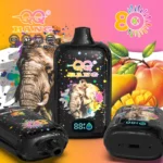 dh-vape-bang-qq-80k-puff-80000-eu-lager-mango-pfirsich
