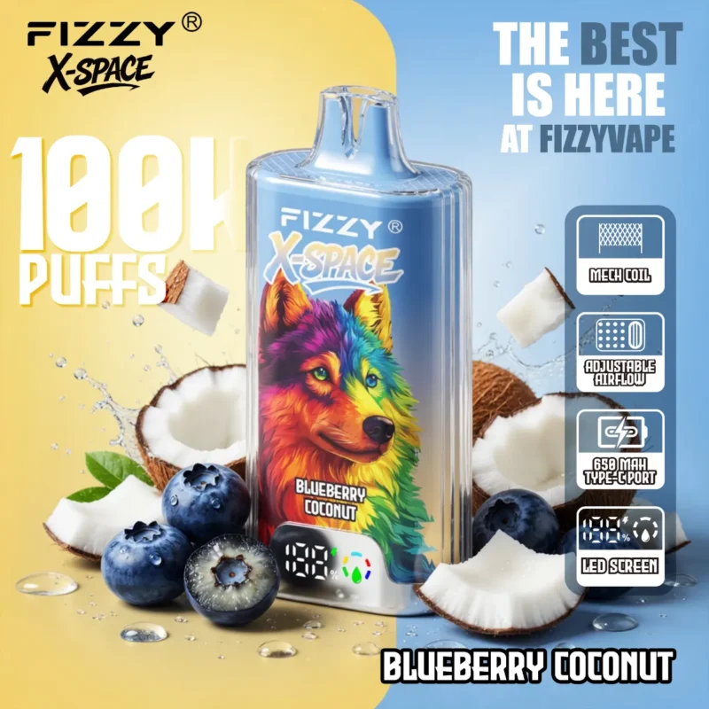 dh-vape-eu-warehouse-fiizy-x-space-blueberry-coconut